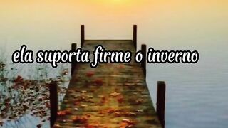 Motivaçaodiaria