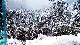 Murree ❤️ #snowfall #rain
