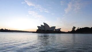 Australia Sydney City And Wild Life 4K video