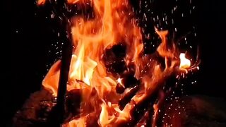 NFAK status video