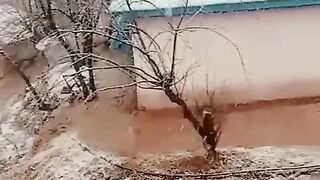 Snowfall