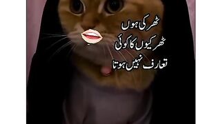New latest Funny Video Upload 2023