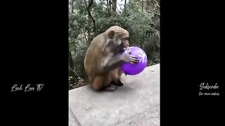 Crazy Funny Moments 2023 Fun4Life