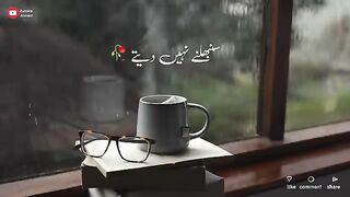Hum_Saath_Main_Chalte_Hai____New_TikTok_Shayari