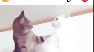 Love at first sight ????????