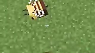 Minecraft tiktok hacks