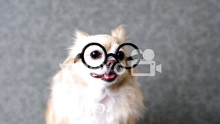 istock-994386744-preview.