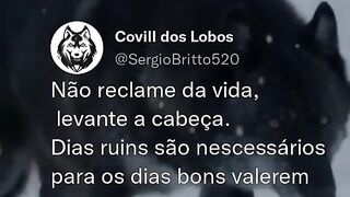 Motivaçaodiaria