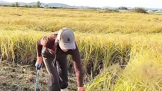 Farmering