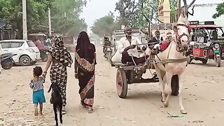 Real life of India