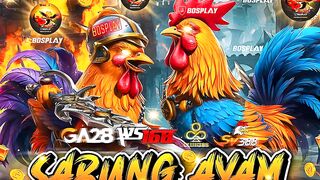 DAFTAR BOSPLAY88 AGEN SABUNG AYAM ONLINE RESMI TERBAIK DI INDEONESIA (BOSPLAY TERPERCAYA)