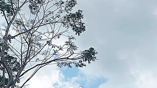looked up at the sky
