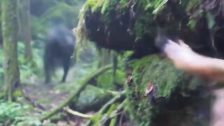 The breathing trap jungle series