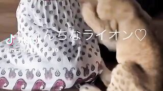 Cat Love to Play With BB