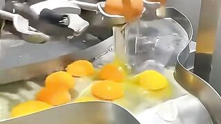Inside a Snack Factory!  How Your Favorite Snacks Are Made