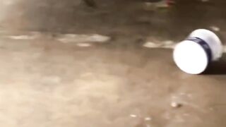 Tom  Jerry ( real )