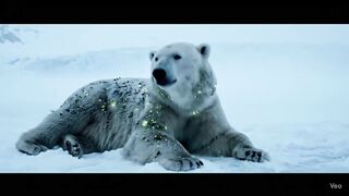White Polar Bear Rescue from Blightspore
