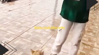 Kucing Ini Minta Makan Kayak Orang Berdoa  Dubbingnya Bikin Ngakak!