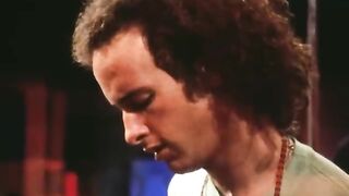 The Doors - Love Her Madly(480P)