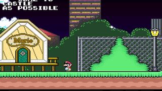 Super Mario Bros 2 Mega Mario X