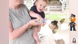 BABY vs ANIMALS Funniest And Sweetest Video EVER!