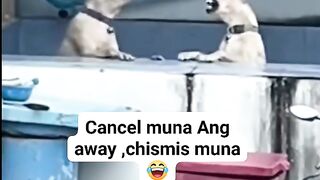 wait a moment