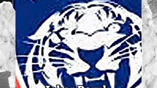johor darul takzim atau JDT mengembalikan status kewarganegaraan pemain naturalisasi ke negara asal