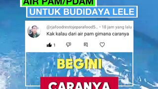Budidaya ikan lele dengan air PAMPDAM
