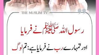 اسلام علیکم ورحمتہ اللہ