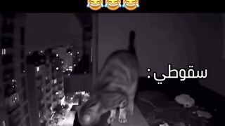 الي كل من ينتظر سقوطي