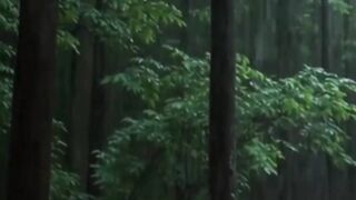 Beautiful nature