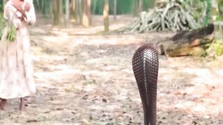 কলনগন থক নগরজ বশ শকতমন