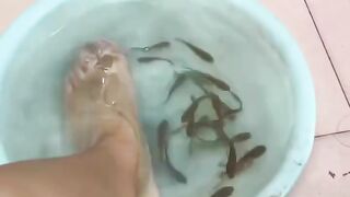 fish foot spa gone wrong