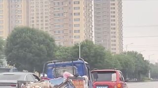 多么奇妙的头脑啊 种植