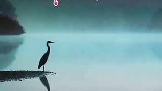 Beautiful video Achi batain in urdu