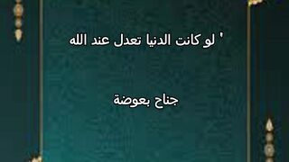 حديث3 قال رسول الله ﷺ لو كانت الدنيا تعدل عند الله جناح بعوضة ما سقى