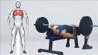 Chest Exercise (Barbell Bench Press)