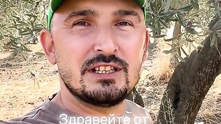 СРЕД МАСЛИНЕНИТЕ ГОРИ НА БУРСА