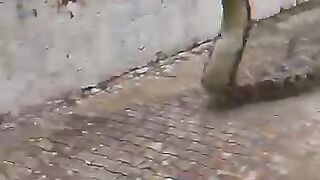 How fast can these snakes kill you