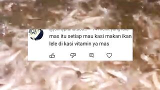 FAKTAPelet DIBIBISDIBASAHI lebih mudah dicerna oleh ikan lele