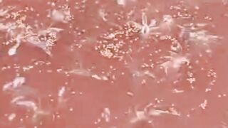 Ciri-ciri ikan lele Betah  Nyaman dikolam