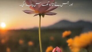 Tilawat e Quran