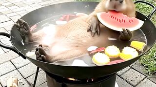 5 Weirdest Animal Eating Habits!