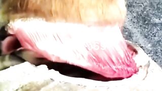 Custom Horse Hoof Rescue!