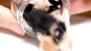 This Video Will Make Your Day Better in 1 Minute