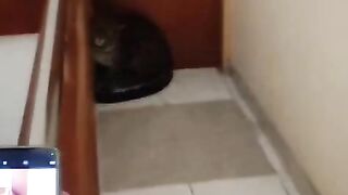Hide in hotel