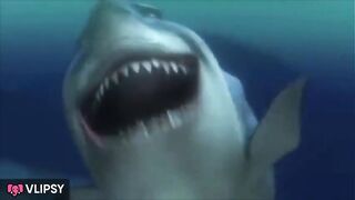 That is funny (LOL Montage)