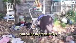 Watch] Triple Crimen Florencio Varela video completo