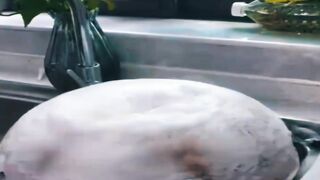 Instant Car Clean in 60 Seconds  Foam Power Challenge