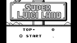 Super Luigi Land
